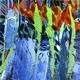 Underbrush II